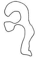 oiseau3